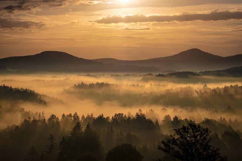 Bohemian Nature