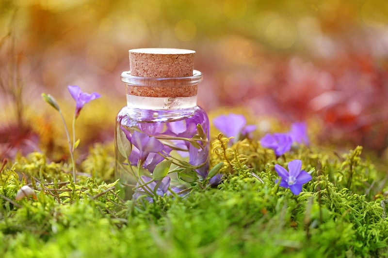 Potion Bottles